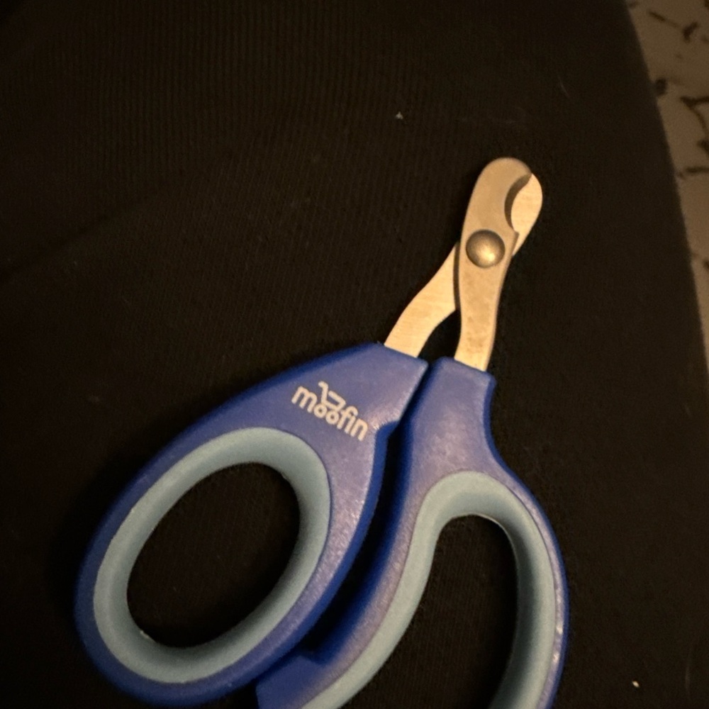 Moomin Blue and Silver Nail Clippers